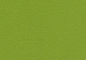 Allure Bookcloth Lime