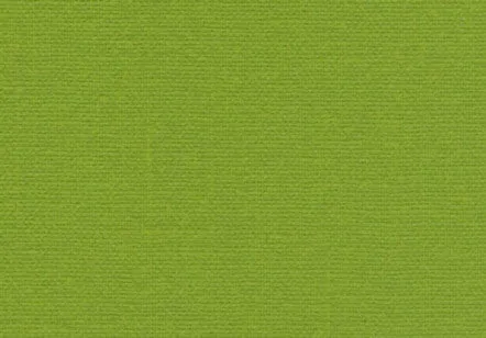 Allure Bookcloth Lime