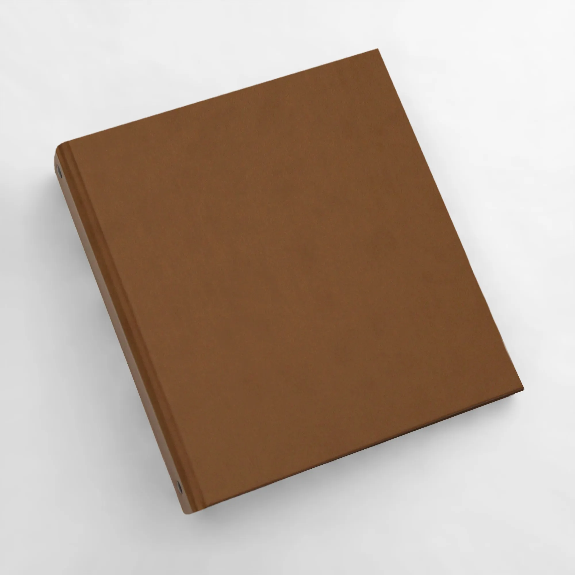 Medium Photo Binder For 4x6 Photos | Cover: Light Brown Vegan Leather | Available Personalized