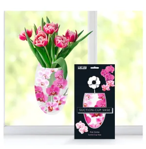 Modgy Suction cup Vases